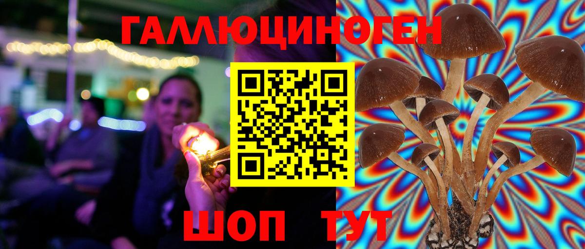Воткинск  Галлюциногенные грибы Psilocybine cubensis  хочу   Вход с VPN 